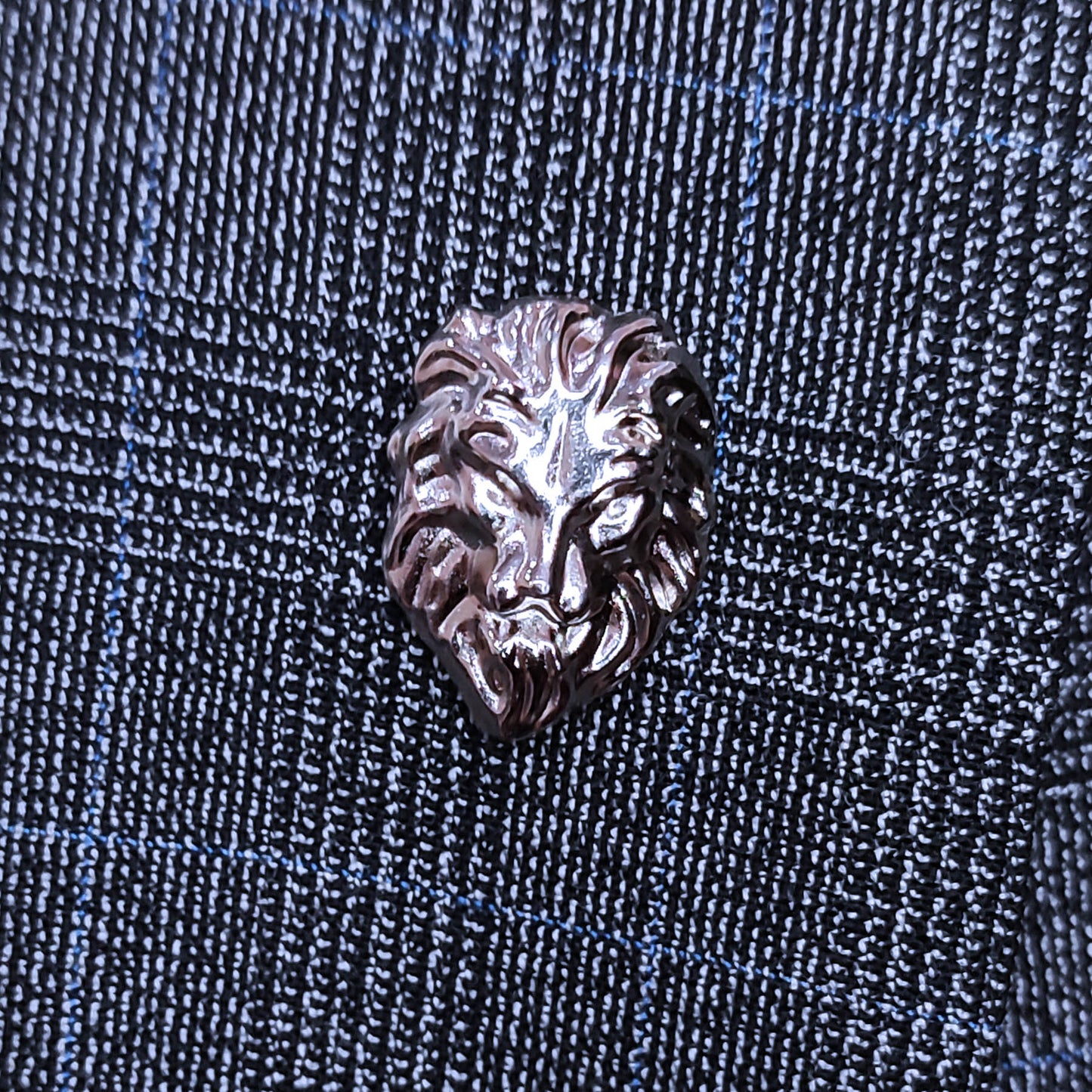 Lion FACE