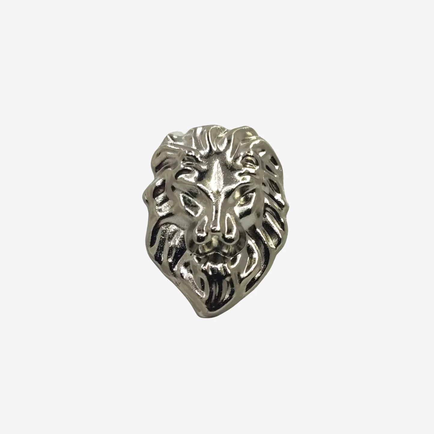 Lion FACE