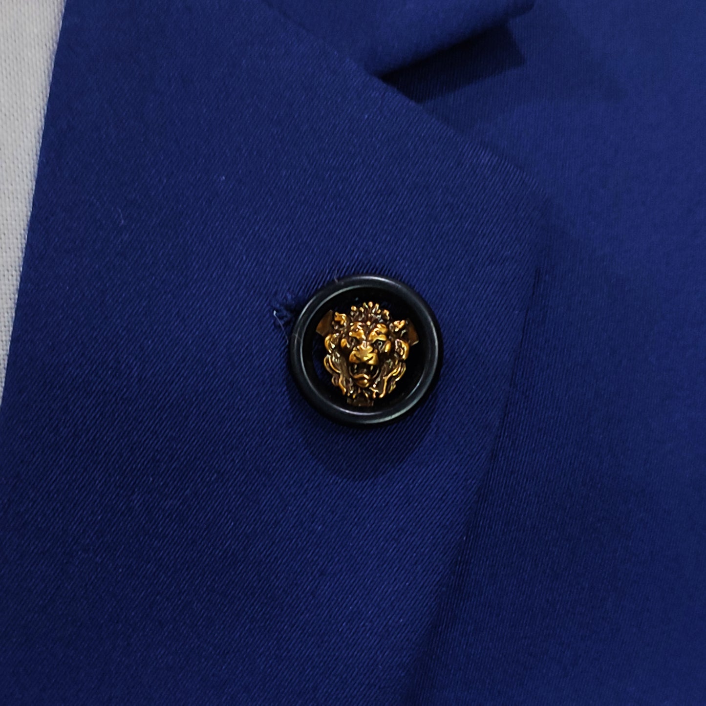 lion coin