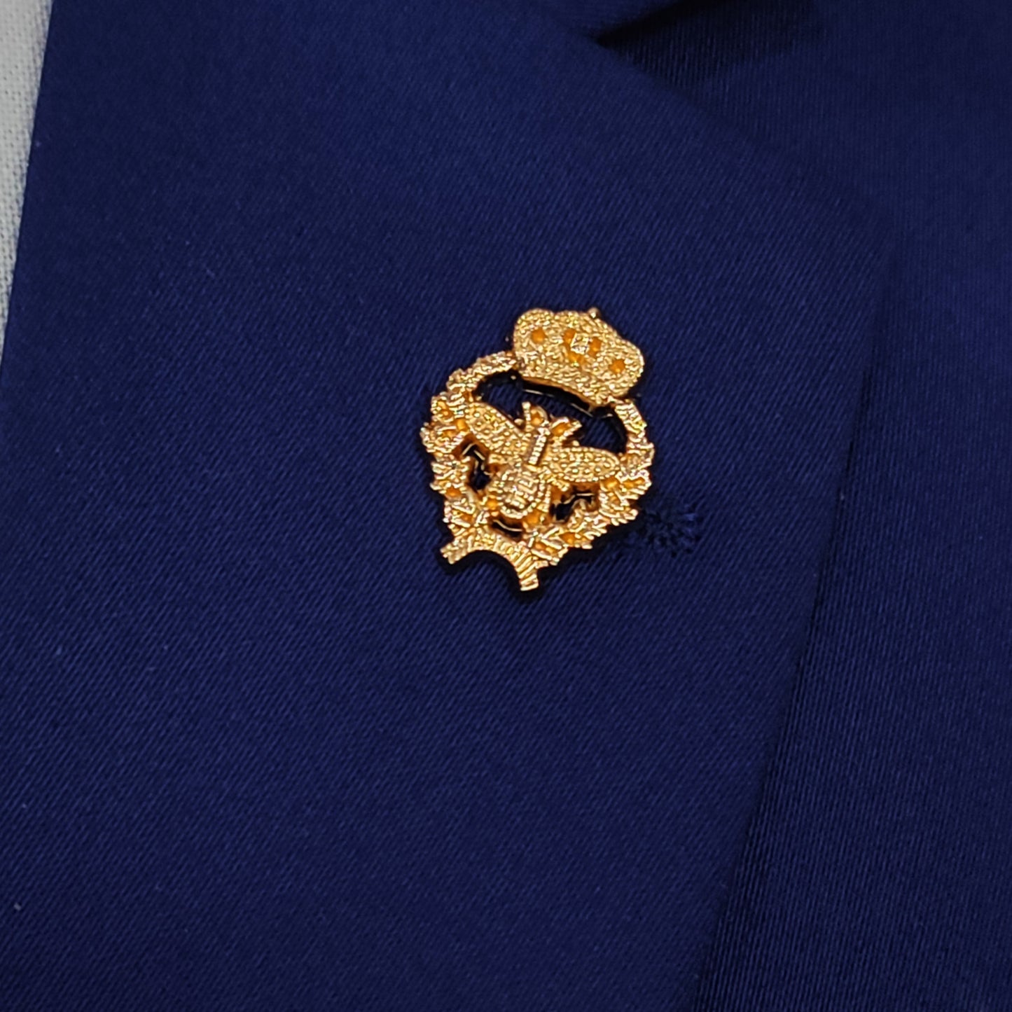 Golden crown bee