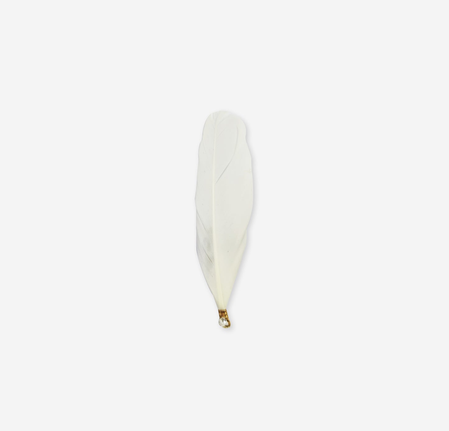 leaf feather