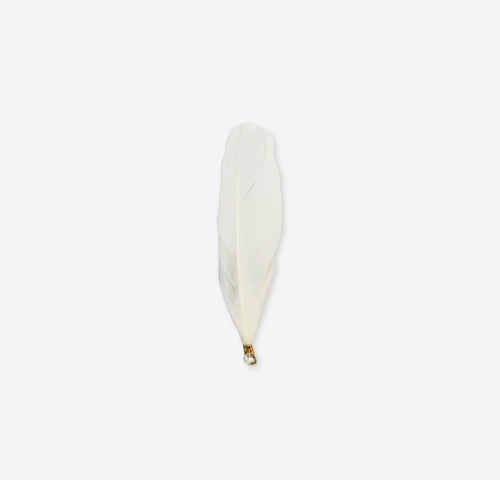 leaf feather