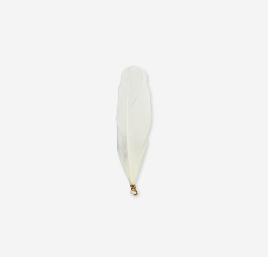 leaf feather
