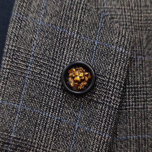 lion coin