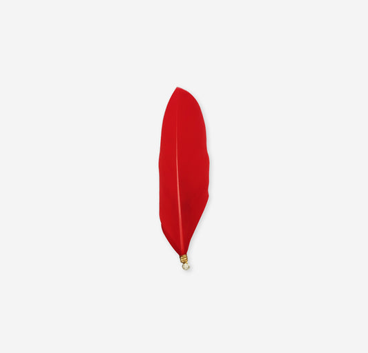 leaf feather