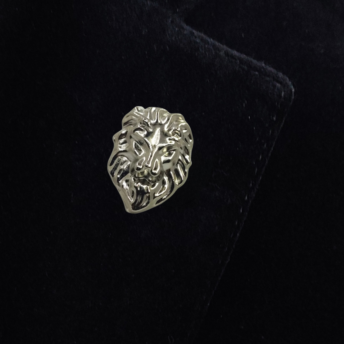Lion FACE